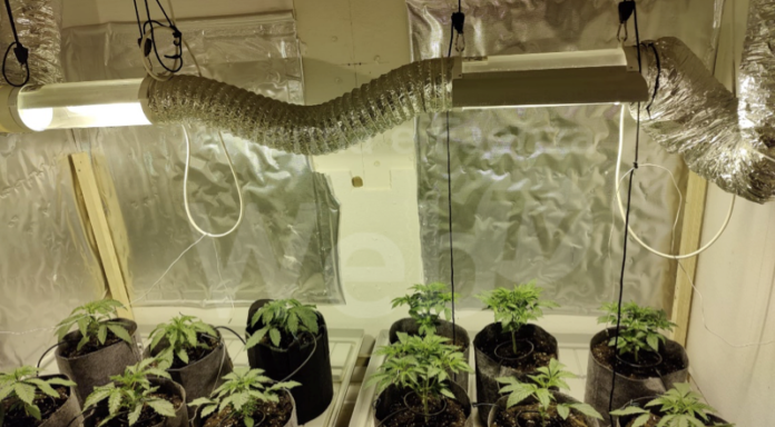 Schermata 2022-09-06 alle 18.52.59