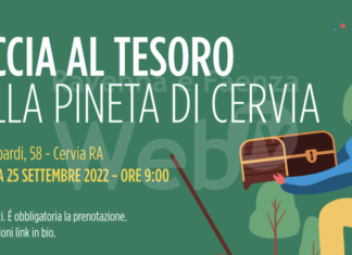 Caccia al tesoro in pineta
