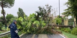 Maltempo: Il comune di Ravenna fa il punto sulla situazione. Alcune strade chiuse, ingressione marina a Lido di Savio