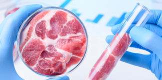 Coldiretti: La grande minaccia del cibo sintetico, conoscere per contrastare!