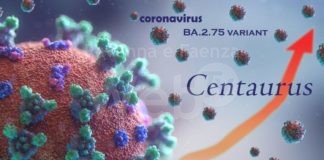 Al Laboratorio Unico dell’Ausl Romagna sequenziato primo caso di variante Centaurus in Emilia Romagna