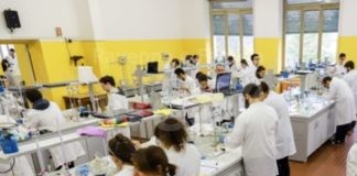 Premi di studio Chimica Faenza: ecco i vincitori