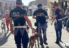 Unità cinofile civili in supporto alle forze dell’ordine per la ricerca di droghe ed esplosivi