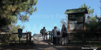 Italia Nostra e WWF: “Parco Marittimo a Marina Romea e Porto Corsini, l’ente gestore chiede una rivalutazione”