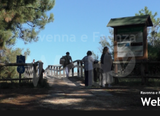 Italia Nostra e WWF: “Parco Marittimo a Marina Romea e Porto Corsini, l’ente gestore chiede una rivalutazione”