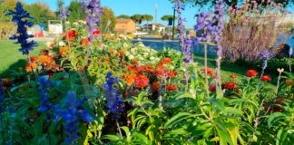 Cervia Città Giardino laboratorio ideale per testare nuove specie di piante