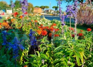 Cervia Città Giardino laboratorio ideale per testare nuove specie di piante