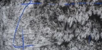 Ascoltare bellezza: oggi l’inaugurazione dell’opera che celebra l’equinozio d’autunno