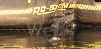 Italia Nostra e Collettivo Autonomo Ravennate: Basta scempi contro l’ambiente, i lavoratori e le casse pubbliche. Mai più Berkan B