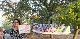 Nutrie Parco Teodorico: già quasi 100 firme raccolte per dire sì alla loro tutela, ma minacce ai volontari