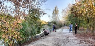 Nessuno stop alle uccisioni delle nutrie del Parco Teodorico. Oggi saranno presentati progetti per sterilizzare animali morti?