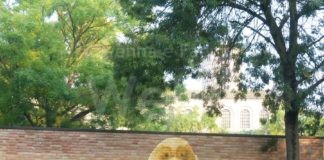 A Classe l’inaugurazione di un murale in ricordo di Lola, cockerina protagonista di tante opere benefiche