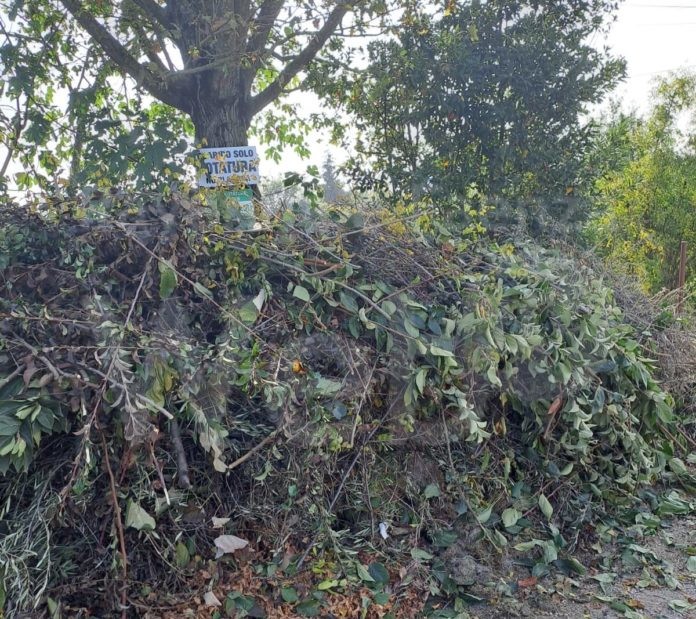 3b598b90-ee13-423c-9547-26533161fab1