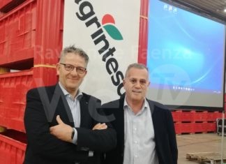 Agrintesa, bilancio solido nonostante la scarsità di prodotto. Liquidati ai soci oltre 164 milioni di euro