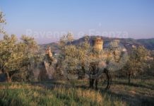 Trasporto scolastico nei comuni montani: potenziate le risorse dalla Regione