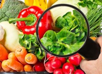 Nuove norme sulla sicurezza alimentare. L’Ausl incontra le Associazioni di categoria per fare il punto