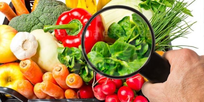 C_17_pagineAree_4845_paragrafi_paragrafo_0_immagine