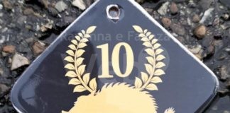 Decennale del Trail del Cinghiale