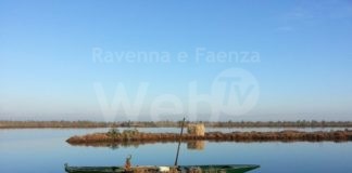 Paesaggio e biodiversità: un nuovo percorso didattico gratuito sul Delta per 120 classi del territorio di Ravenna e Ferrara