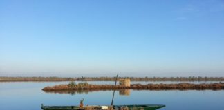 Parte a Ravenna e Ferrara il progetto didattico “Paesaggio e Biodiversità 2030: Il futuro intorno a noi”