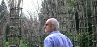 30 musicisti, 6 ore di concerto per ricordare Roberto Masotti