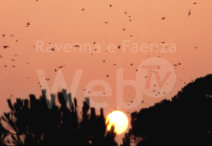 Schermata 2022-10-05 alle 12.48.11