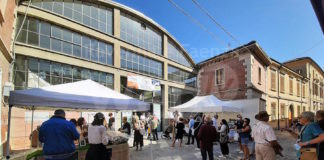 Torna la Tartufesta. Protagonista il tartufo bianco romagnolo