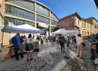 Torna la Tartufesta. Protagonista il tartufo bianco romagnolo