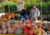 Halloween contadino al Mercato di Campagna Amica