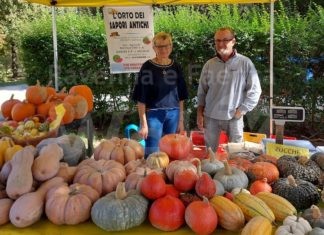 Halloween contadino al Mercato di Campagna Amica