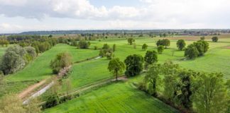 3.000 euro di premio produzione: Fai, Flai e Uila siglano il contratto integrativo con Agrisfera