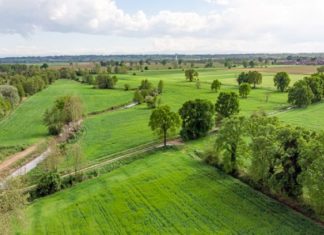 DDL Montagna: “riconosciuto ruolo strategico di agricoltori e allevatori”