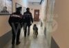 Carabinieri: controllo del territorio, 4 arresti per spaccio, 1000 persone controllate, 9 patenti ritirate