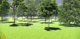 Al via i lavori di studio per la forestazione urbana della Bassa Romagna