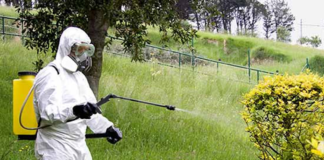 Agricoltura, Coldiretti: Le proposte alla regione per fronteggiare la riduzione di fitosanitari