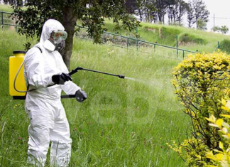Agricoltura, Coldiretti: Le proposte alla regione per fronteggiare la riduzione di fitosanitari