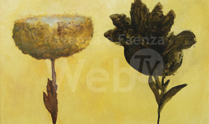 mostra natura morta ugonia