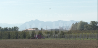 Cacciatore trovato morto a Castel Bolognese: si cercano i fucili scomparsi