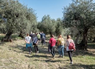 Al via domani le “Passeggiate della salute”, organizzate da Spi-CGIL e Auser