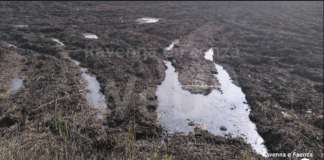 Vasca di laminazione Lotras. Faenza eco-logica: “Perché i cittadini dovrebbero fidarsi ad occhi chiusi ?”