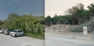 Ferrero (FdI): abbattimento alberi Marina di Ravenna