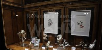 Nuova esposizione al “Private Banking” della Cassa di Ravenna su “Fernando Orrico, la forza delle donne”