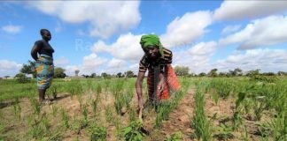 Mani Tese cerca 100 volontari nel ravennate per sostenere l’emancipazione delle donne