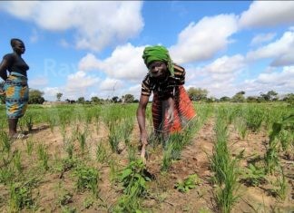 Mani Tese cerca 100 volontari nel ravennate per sostenere l’emancipazione delle donne