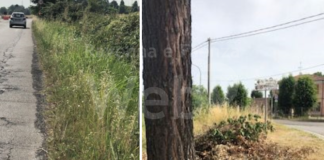 Ancisi (LpRa): Nuova via Stradone al via i lavori “entro la prossima primavera”