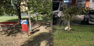 Rifiuti in zona ex Omsa: Grillini (Italia Viva) interroga la giunta comunale