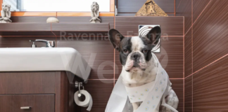 Enpa: “Cinofobia”