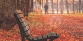 Cervia città amica delle persone che vivono con demenza. si inaugura martedì la Panchina della Speranza