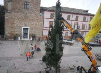 A Cervia l’albero di Natale è gia in piazza Garibaldi