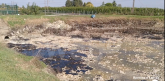 Vasca di laminazione Lotras. L’assessore risponde ai cittadini: “Terreno e acqua sempre controllati”